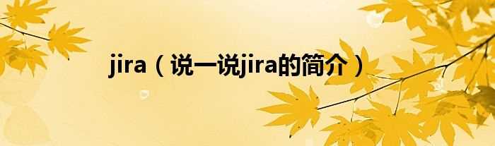 说一说jira的简介_jira(jira)