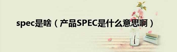 产品SPEC是什么意思啊_spec是啥?(spec)