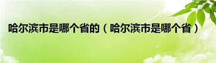 哈尔滨市是哪个省_哈尔滨市是哪个省的?(哈尔滨是哪个省)