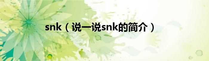 说一说snk的简介_snk(snk)