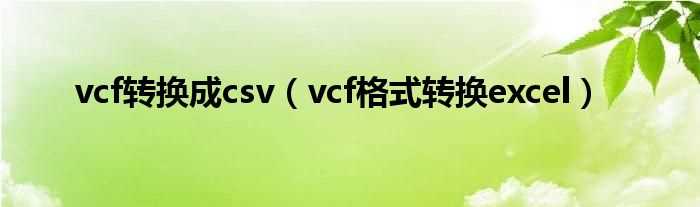 vcf格式转换excel_vcf转换成csv(vcf转csv)