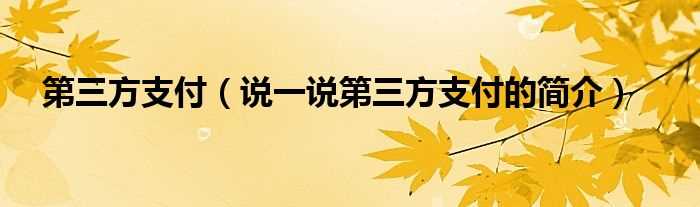 说一说第三方支付的简介_第三方支付(第三方支付)