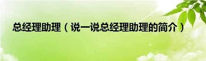 说一说总经理助理的简介_总经理助理(总经理助理)