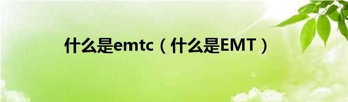 什么是EMT_什么是emtc?(emt)