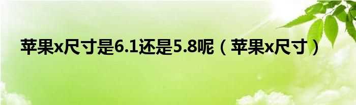 苹果x尺寸_苹果x尺寸是6.1还是5.8呢(苹果x尺寸)