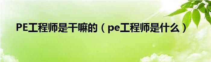 pe工程师是什么_PE工程师是干嘛的?(pe工程师)