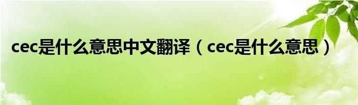 cec是什么意思_cec是什么意思中文翻译?(cec)