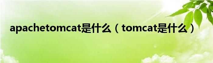 tomcat是什么_apachetomcat是什么?(apache tomcat)