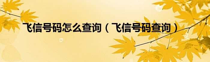 飞信号码查询_飞信号码怎么查询?(飞信号码查询)