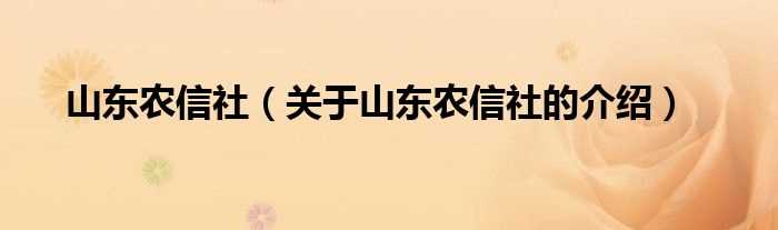 关于山东农信社的介绍_山东农信社(山东农村信用社)