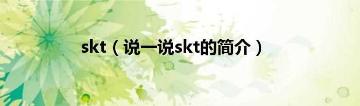 说一说skt的简介_skt(skt)