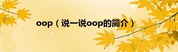 说一说oop的简介_oop(oop)