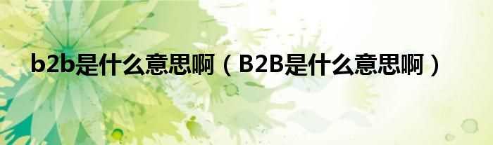 B2B是什么意思啊_b2b是什么意思啊?(b2b是什么意思)