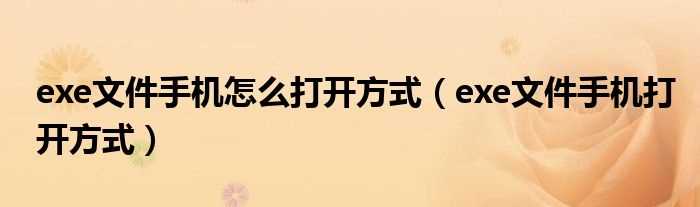 exe文件手机打开方式_exe文件手机怎么打开方式?(exe文件怎么打开)