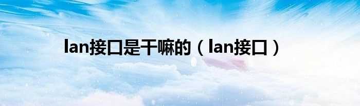 lan接口_lan接口是干嘛的(lan)