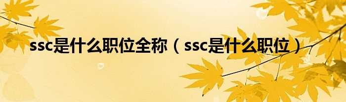 ssc是什么职位_ssc是什么职位全称?(ssc)