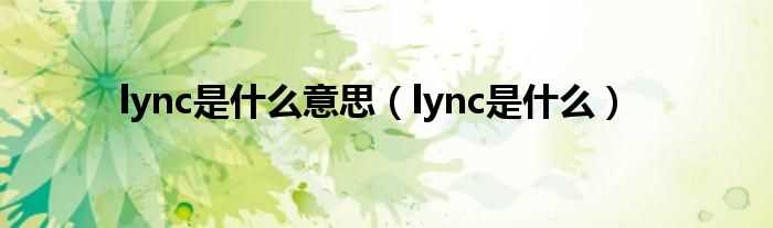 lync是什么_lync是什么意思?(lync)