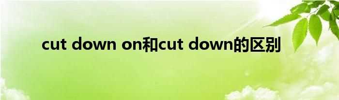 cut_down_on和cut_down的区别(cut down)