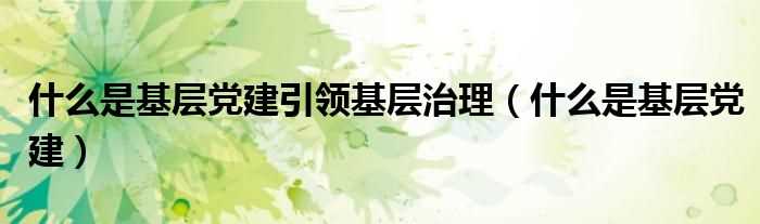 什么是基层党建_什么是基层党建引领基层治理?(基层党建)