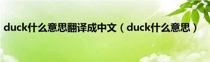 duck什么意思_duck什么意思翻译成中文?(duck)