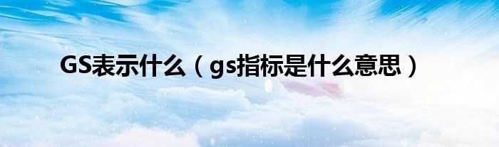 gs指标是什么意思_GS表示什么?(gs)