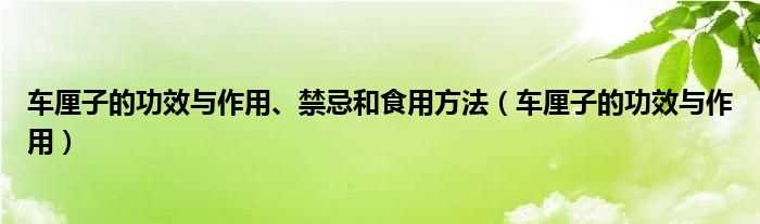 车厘子的作用与功效_车厘子的作用与功效、禁忌和食用方法(车厘子)