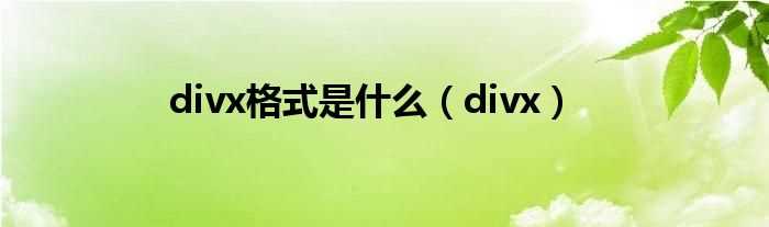 divx_divx格式是什么?(divx)