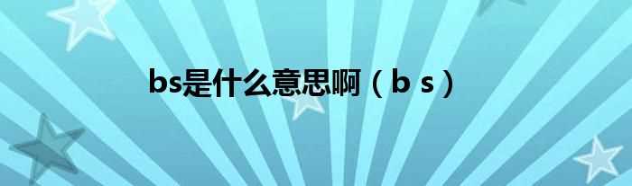 b_s_bs是什么意思啊?(bs)