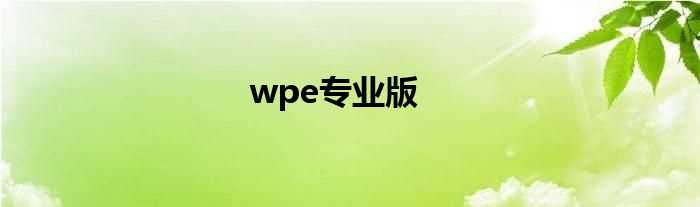 wpe专业版(wpe)