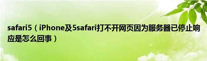 iPhone及5safari打不开网页因为服务器已停止响应是怎么回事_safari5?(Safari 5)