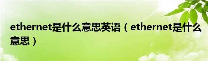 ethernet是什么意思_ethernet是什么意思英语?(ethernet)