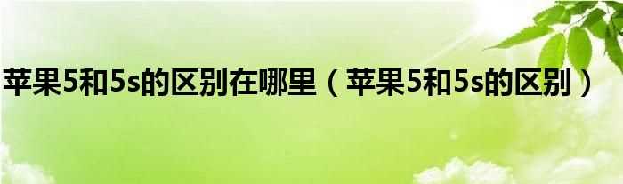 苹果5和5s的区别_苹果5和5s的区别在哪里?(5和5s的区别)