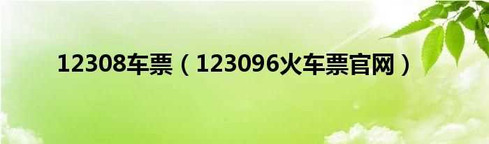 123096火车票官网_12308车票(12308)