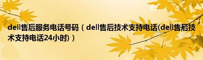 dell售后技术支持电话(dell售后技术支持电话24小时_dell售后服务电话号码)(dell售后)