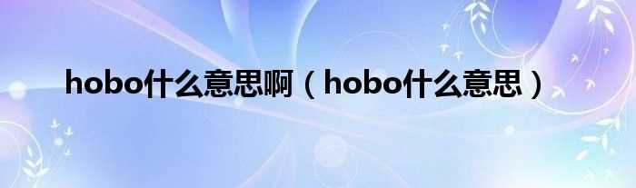 hobo什么意思_hobo什么意思啊?(hobo)