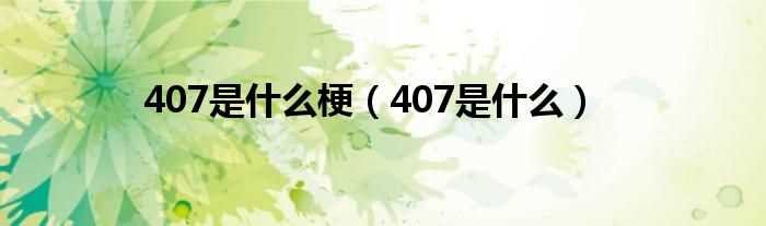 407是什么_407是什么梗?(407是什么)