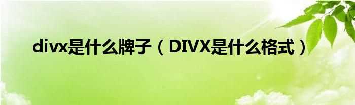 DIVX是什么格式_divx是什么牌子?(divx)