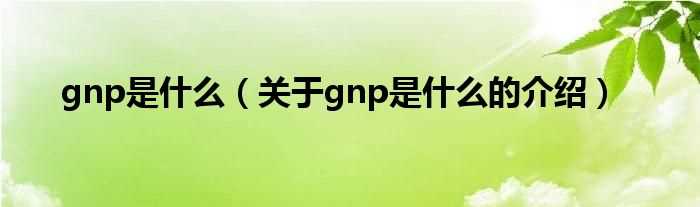 关于gnp是什么的介绍_gnp是什么?(gnp)