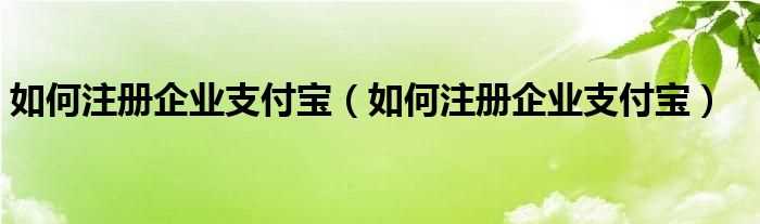 怎么注册企业支付宝_怎么注册企业支付宝?(企业支付宝怎么注册)