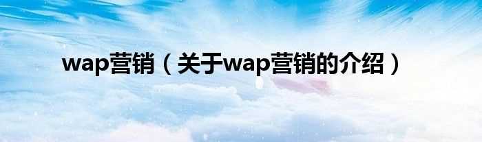 关于wap营销的介绍_wap营销(wap营销)