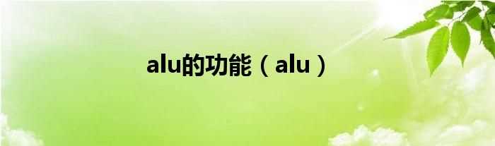 alu_alu的功能(alu)