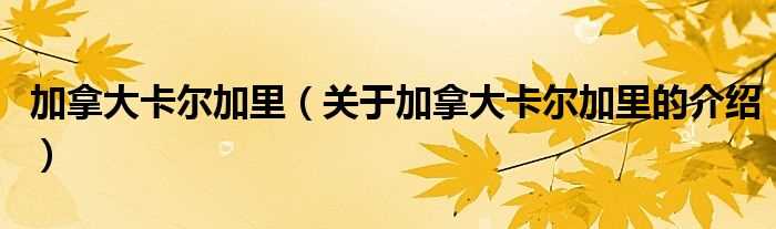 关于加拿大卡尔加里的介绍_加拿大卡尔加里(卡尔加里)