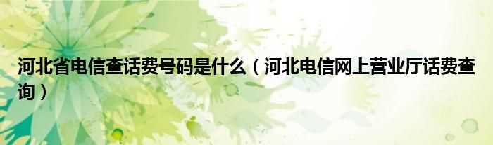 河北电信网上营业厅话费查询_河北省电信查话费号码是什么?(河北电信网上营业厅话费查询)