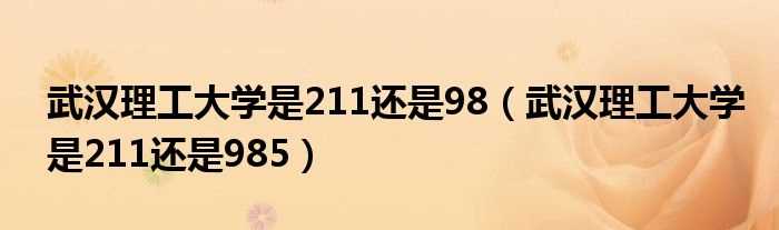 武汉理工大学是211还是985_武汉理工大学是211还是98(武汉理工大学是985还是211大学)