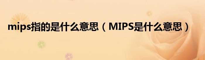 MIPS是什么意思_mips指的是什么意思?(mips)