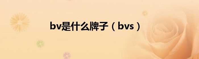 bvs_bv是什么牌子?(bv)