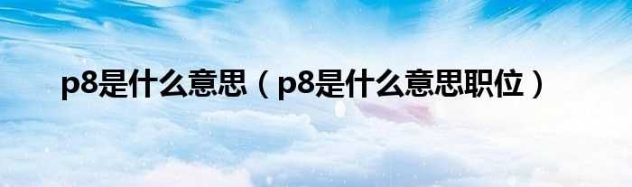 p8是什么意思职位_p8是什么意思?(p8)