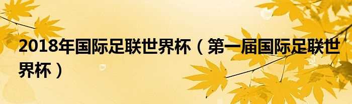 第一届国际足联世界杯_2018年国际足联世界杯(2018世界杯)