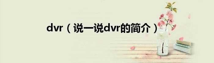 说一说dvr的简介_dvr(dvr)