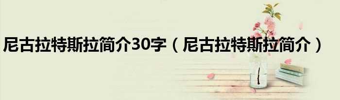 尼古拉特斯拉简介_尼古拉特斯拉简介30字(尼古拉特斯拉)